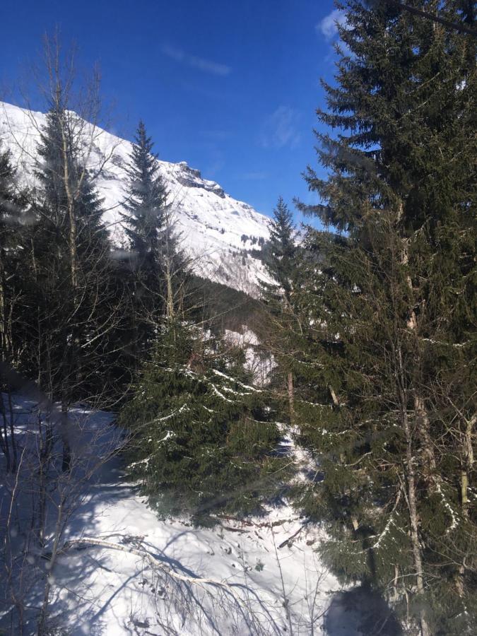 Les Pierres Blanches Mont Blanc Daire Les Contamines-Montjoie Dış mekan fotoğraf