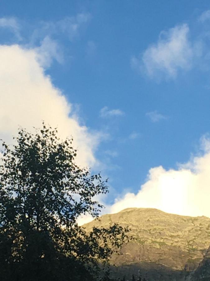 Les Pierres Blanches Mont Blanc Daire Les Contamines-Montjoie Dış mekan fotoğraf