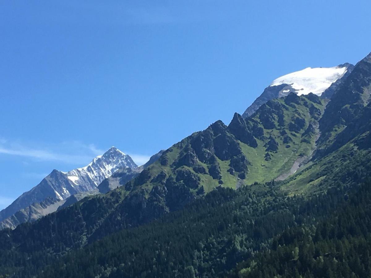 Les Pierres Blanches Mont Blanc Daire Les Contamines-Montjoie Dış mekan fotoğraf