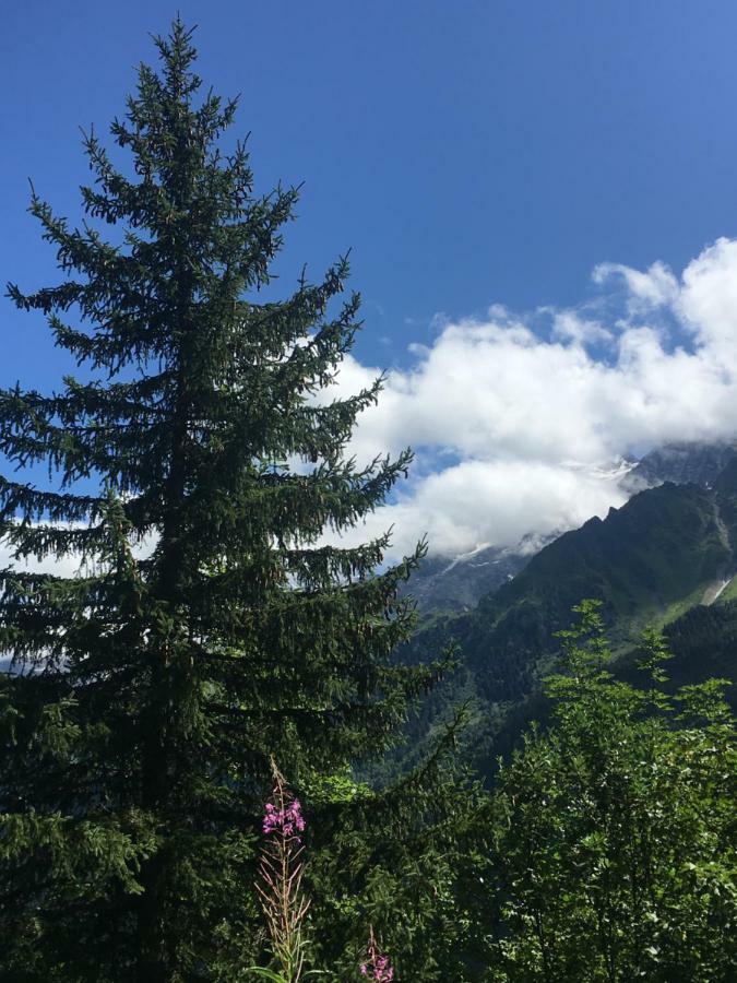 Les Pierres Blanches Mont Blanc Daire Les Contamines-Montjoie Dış mekan fotoğraf