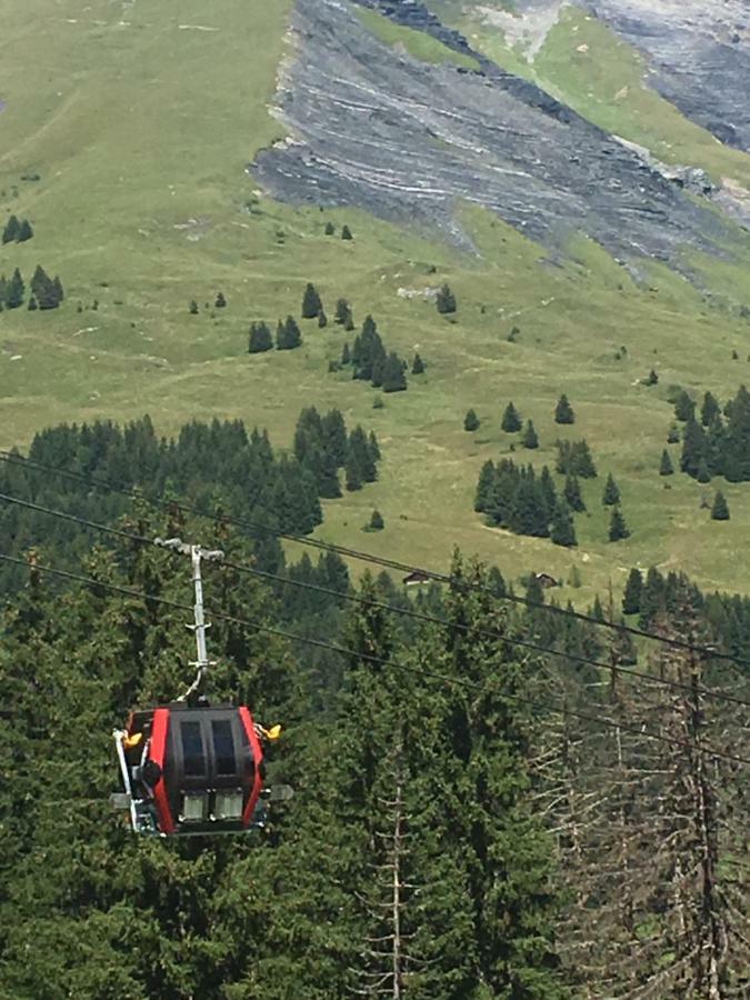 Les Pierres Blanches Mont Blanc Daire Les Contamines-Montjoie Dış mekan fotoğraf